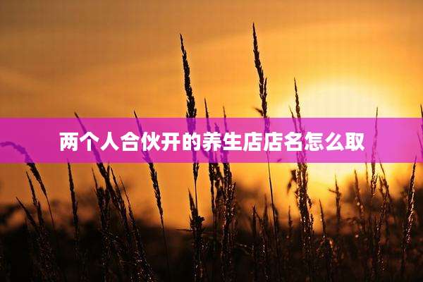 两个人合伙开的养生店店名怎么取