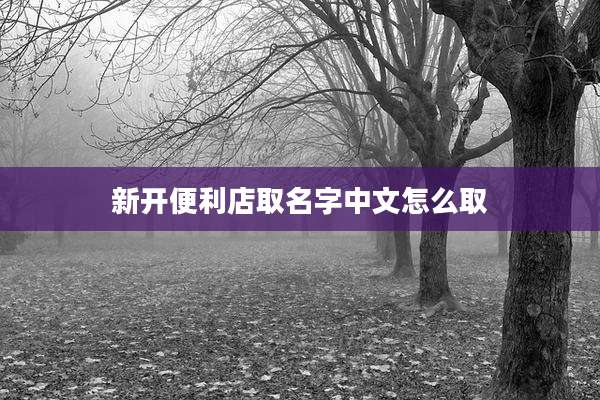 新开便利店取名字中文怎么取