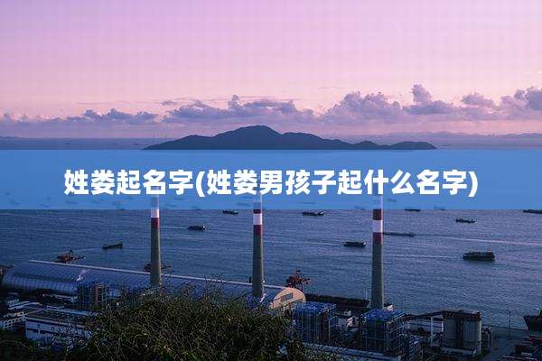 姓娄起名字(姓娄男孩子起什么名字)