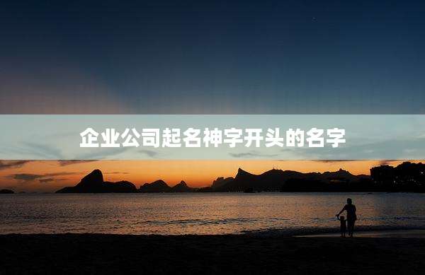 企业公司起名神字开头的名字