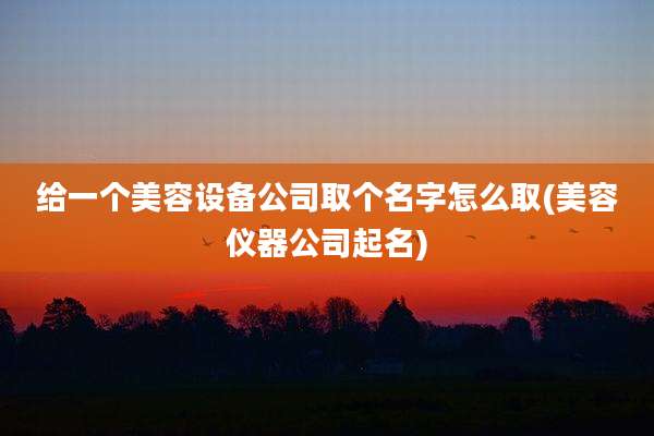 给一个美容设备公司取个名字怎么取(美容仪器公司起名)
