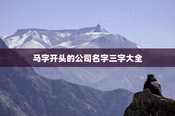 马字开头的公司名字三字大全