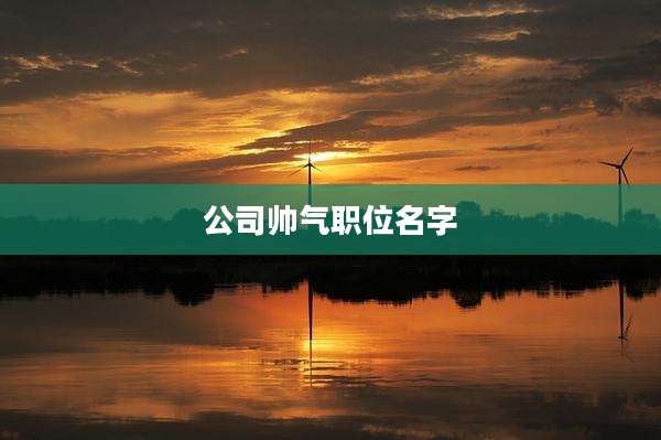 公司帅气职位名字