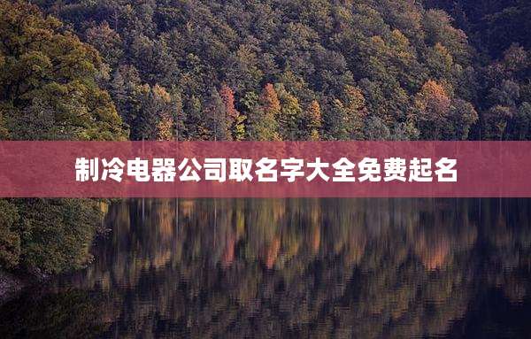 制冷电器公司取名字大全免费起名
