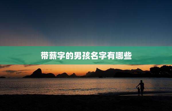 带薪字的男孩名字有哪些