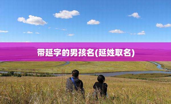 带延字的男孩名(延姓取名)