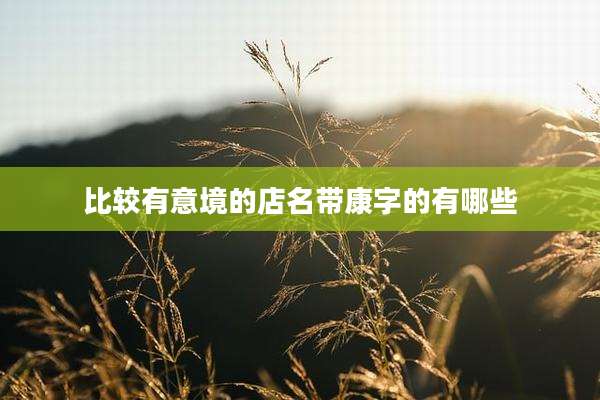 比较有意境的店名带康字的有哪些