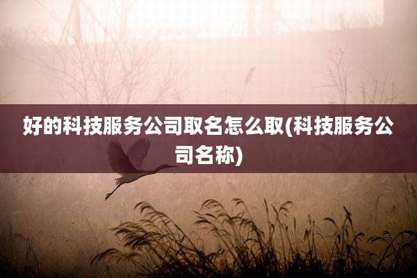 好的科技服务公司取名怎么取(科技服务公司名称)