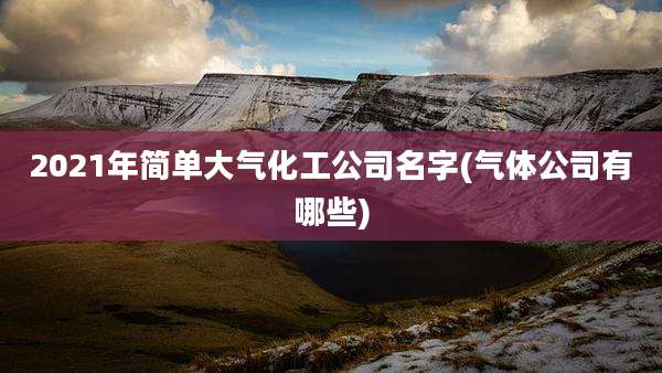 2021年简单大气化工公司名字(气体公司有哪些)