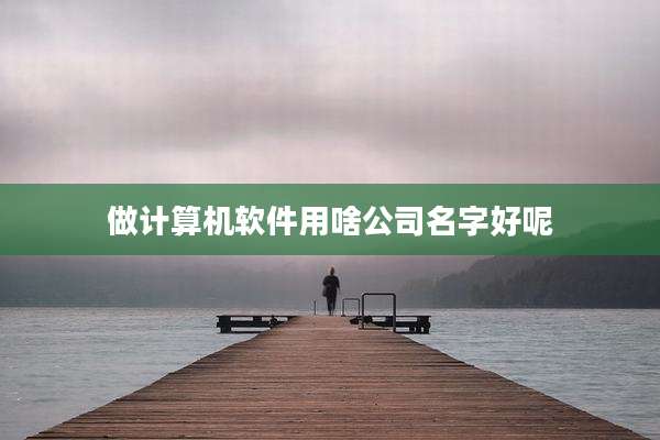 做计算机软件用啥公司名字好呢