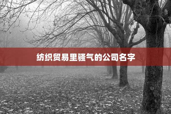 纺织贸易里骚气的公司名字