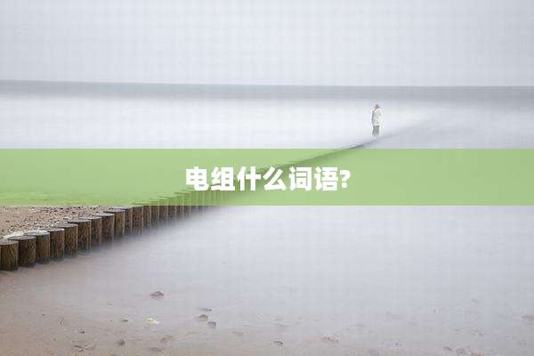 电组什么词语?