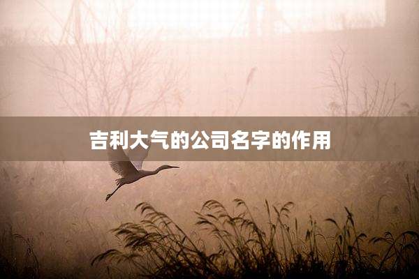 吉利大气的公司名字的作用