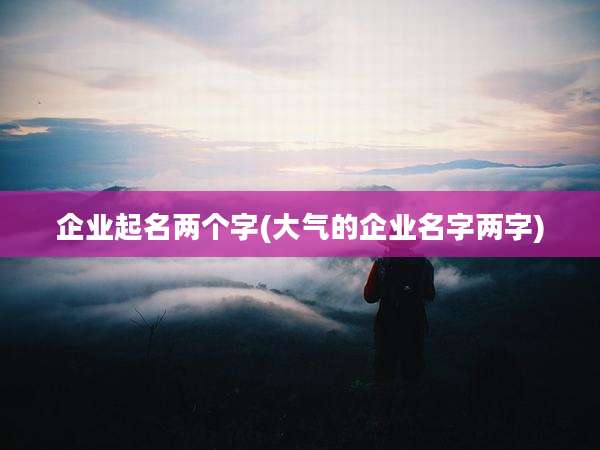 企业起名两个字(大气的企业名字两字)