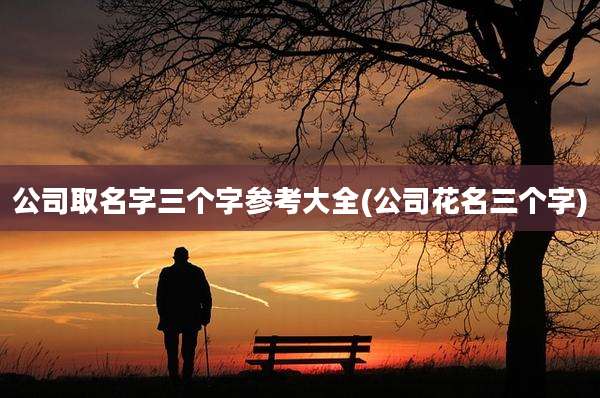 公司取名字三个字参考大全(公司花名三个字)