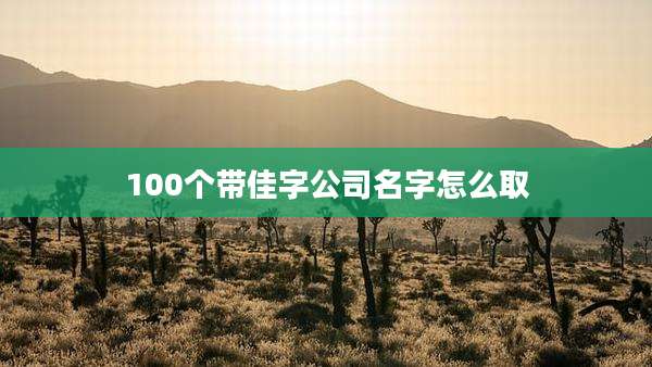 100个带佳字公司名字怎么取