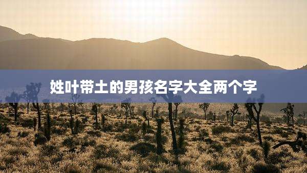 姓叶带土的男孩名字大全两个字