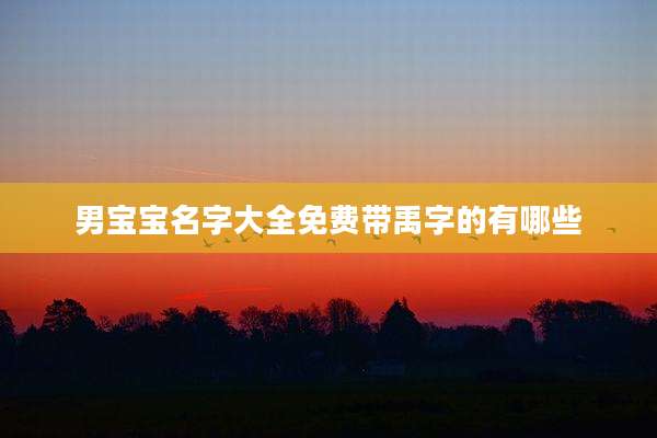 男宝宝名字大全免费带禹字的有哪些