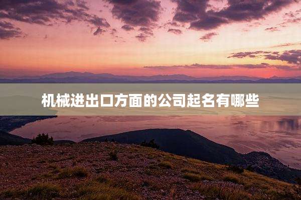 机械进出口方面的公司起名有哪些