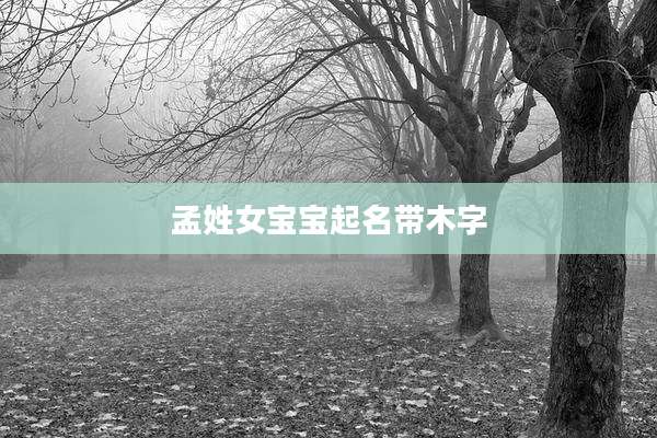 孟姓女宝宝起名带木字