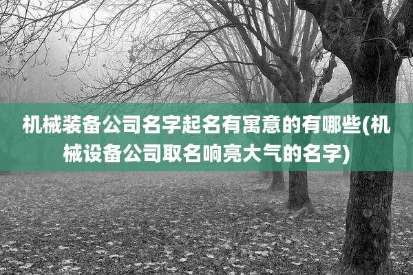 机械装备公司名字起名有寓意的有哪些(机械设备公司取名响亮大气的名字)