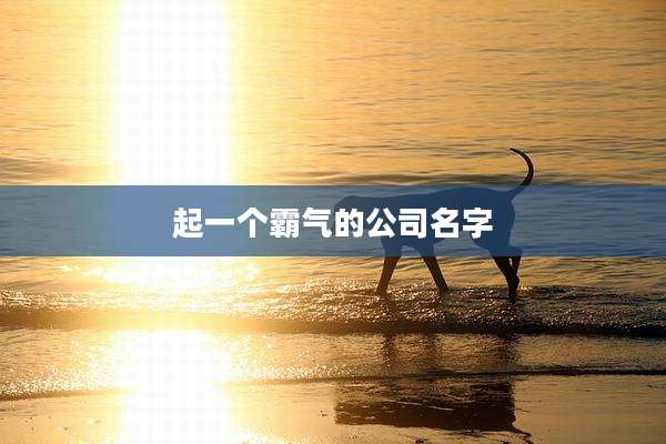 起一个霸气的公司名字