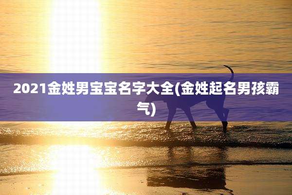 2021金姓男宝宝名字大全(金姓起名男孩霸气)