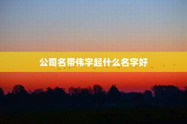 公司名带伟字起什么名字好