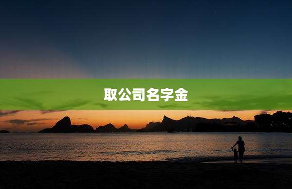 取公司名字金