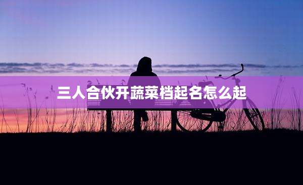 三人合伙开蔬菜档起名怎么起