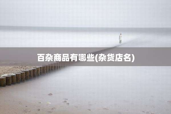 百杂商品有哪些(杂货店名)