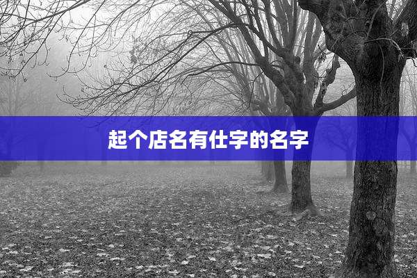 起个店名有仕字的名字