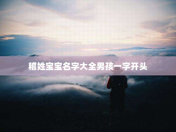 稽姓宝宝名字大全男孩一字开头