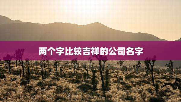 两个字比较吉祥的公司名字