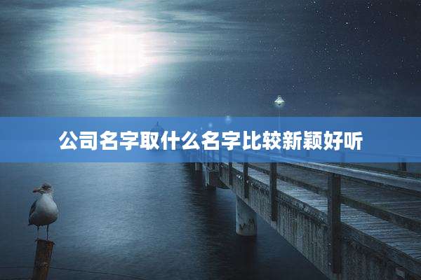 公司名字取什么名字比较新颖好听