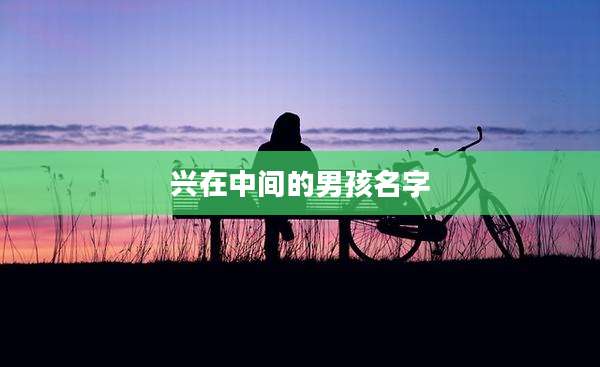 兴在中间的男孩名字