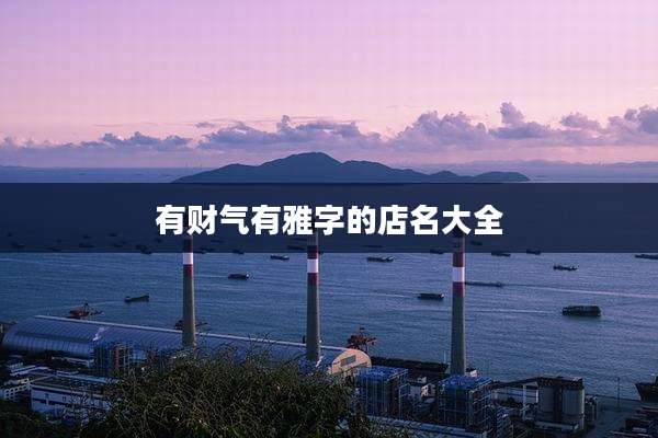 有财气有雅字的店名大全