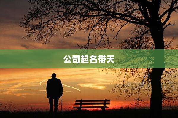 公司起名带天