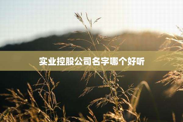 实业控股公司名字哪个好听