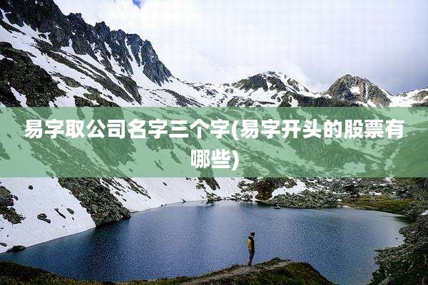 易字取公司名字三个字(易字开头的股票有哪些)