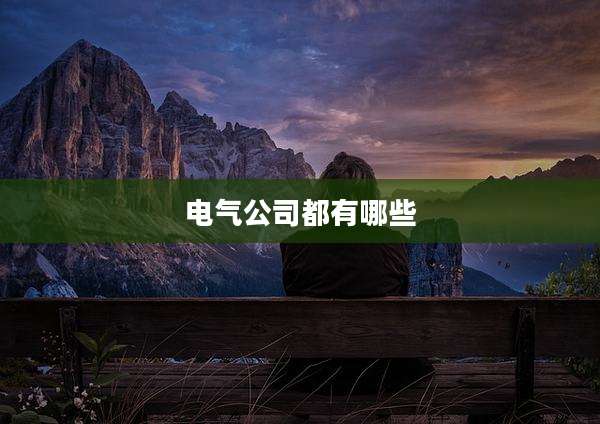 电气公司都有哪些