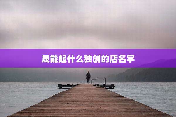 晟能起什么独创的店名字