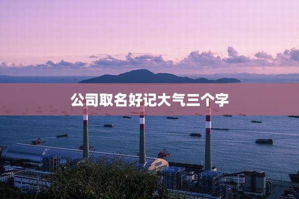 公司取名好记大气三个字