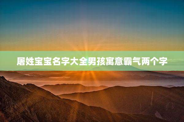 屠姓宝宝名字大全男孩寓意霸气两个字