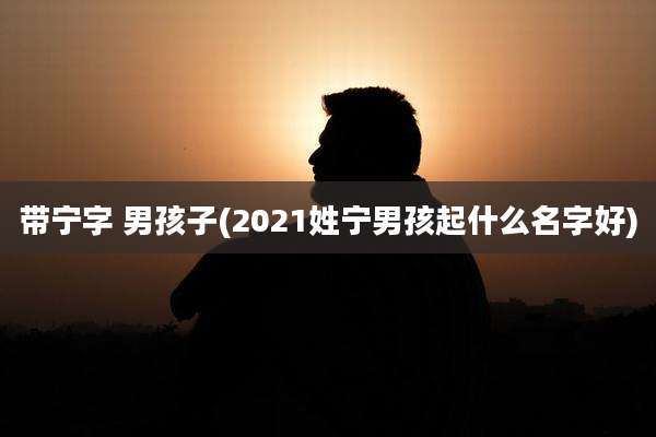 带宁字 男孩子(2021姓宁男孩起什么名字好)