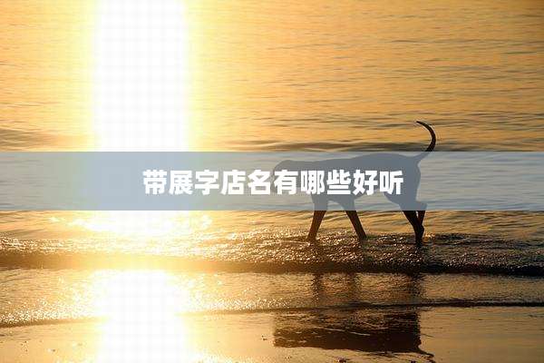 带展字店名有哪些好听