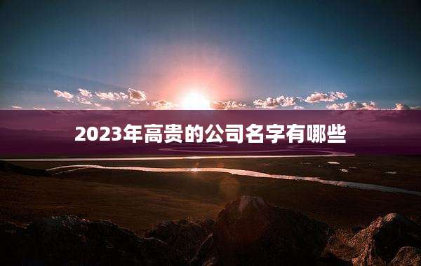 2023年高贵的公司名字有哪些