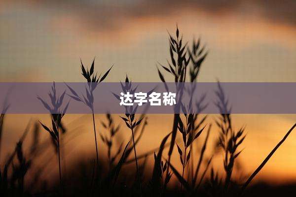 达字名称