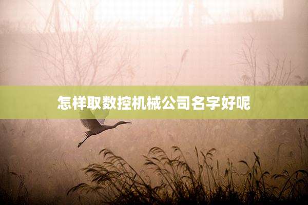 怎样取数控机械公司名字好呢