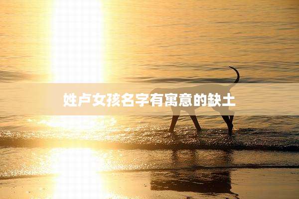 姓卢女孩名字有寓意的缺土